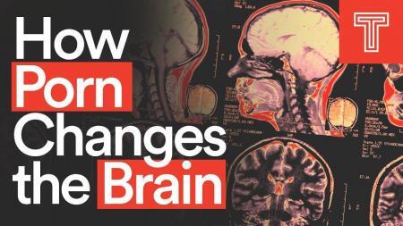 neuroscientists discuss how porn changes the brain