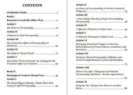 the no-to-porn guide table of contents